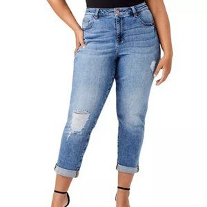 NWOT MOLLY & ISADORA Acela Medici Boyfriend Jeans Plus Size 20